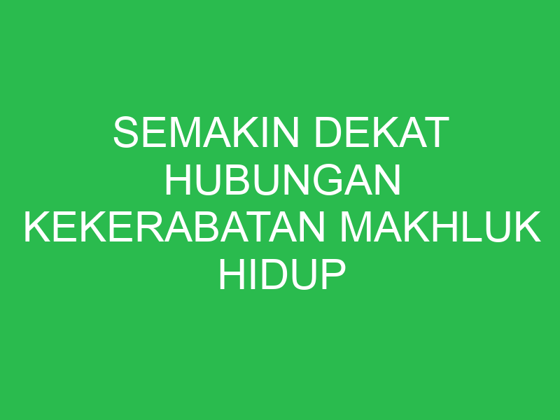 semakin dekat hubungan kekerabatan makhluk hidup maka akan semakin banyak 32886