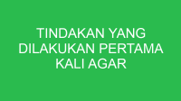 tindakan yang dilakukan pertama kali agar negosiasi berjalan lancar adalah 32851