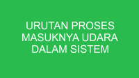 urutan proses masuknya udara dalam sistem pernapasan yang tepat adalah 32789