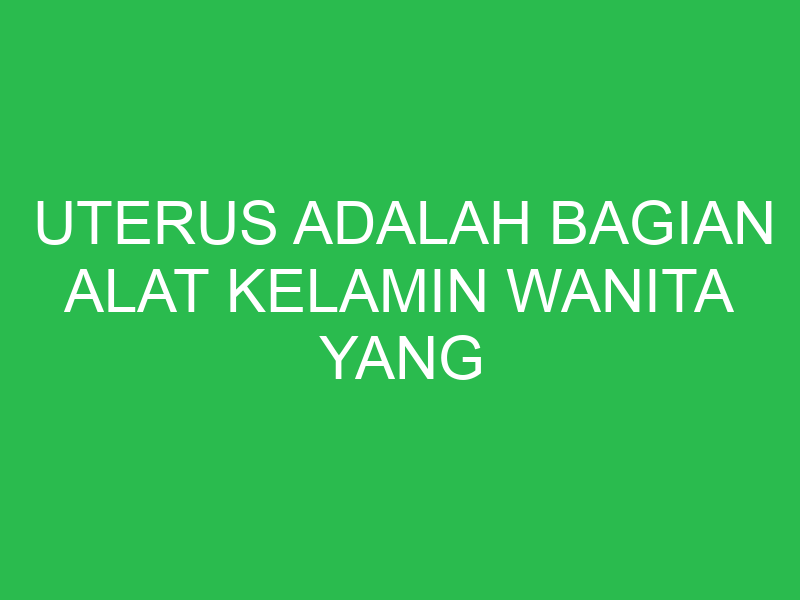 uterus adalah bagian alat kelamin wanita yang berfungsi sebagai tempat 2 32613