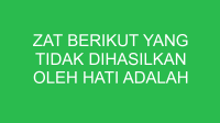 zat berikut yang tidak dihasilkan oleh hati adalah 32615