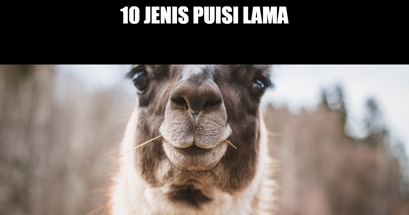 10 jenis puisi lama