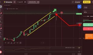 binomo chart