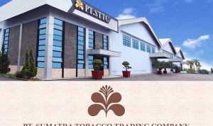 pt sumatra tobacco trading company