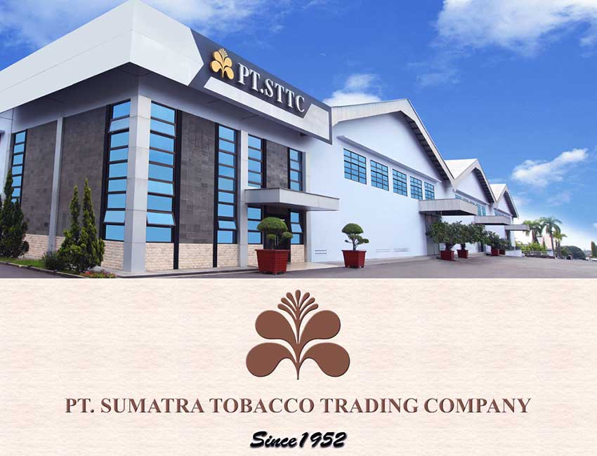 pt sumatra tobacco trading company